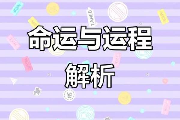 命理揭秘:硬命与软命的深层解析与运势指引 命理揭秘:硬命与软命的深层解析与运势指引