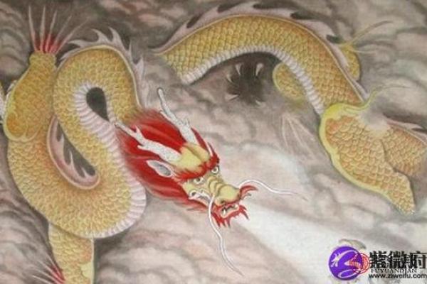 八二年属龙,命理揭秘与人生启示 八二年属龙,命理揭秘与人生启示