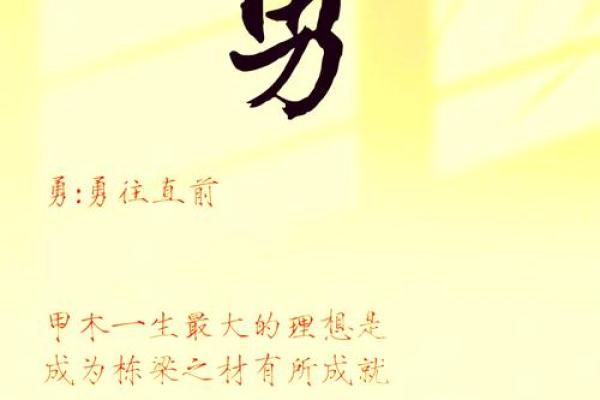 解析甲木女命：如何把握财富机遇与人生智慧