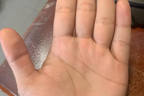 揭开手相中的公印纹,解读命运的奥秘与启示 揭开手相中的公印纹,解读命运的奥秘与启示