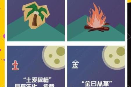 深入探索金水命与木火命的奥秘，揭示命理背后的深刻含义