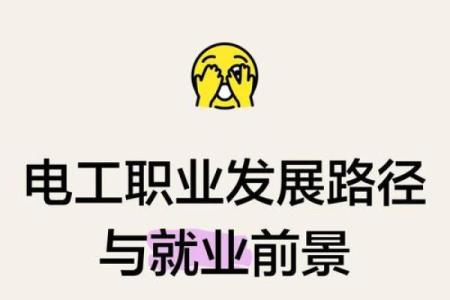 适合学电工的人：从命理角度看，谁能成为电工行业的佼佼者？