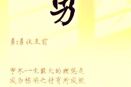 解析甲木女命：如何把握财富机遇与人生智慧