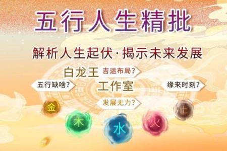 解读癸甲丁癸命局：探索命运背后的奥秘与人生方向