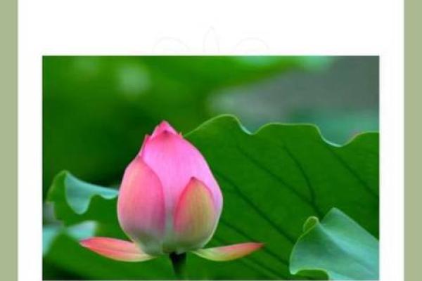 根据因果法则命名成语的奥妙与美丽