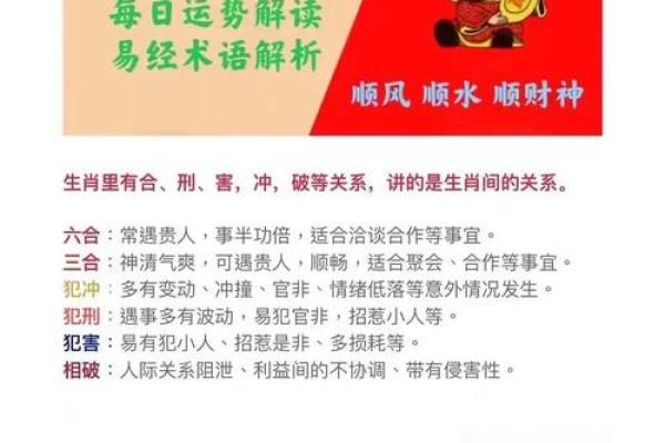 牛年与虎年：五行命理解析与人生启示