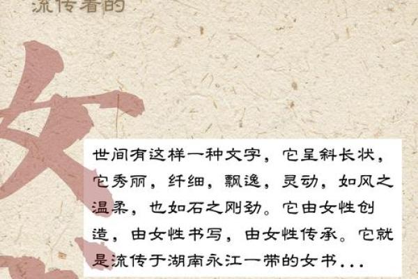 解密“元女女命”:通往自我和谐的智慧之道 解密“元女女命”:通往自我和谐的智慧之道