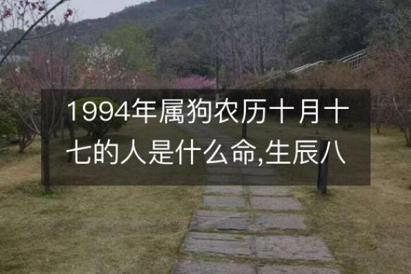 属狗的24岁命运分析:生辰八字与命理的深度探秘 属狗的24岁命运分析:生辰八字与命理的深度探秘