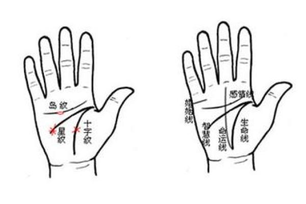 手相解析：官印在哪？揭示男命事业与运势的神秘符号