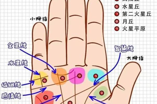 手相解析：官印在哪？揭示男命事业与运势的神秘符号