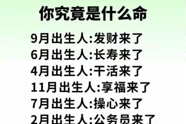 如何查询自己是什么命格女，揭秘命理背后的玄机