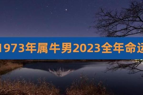 属牛人命运解析：七三年出生的特点与运势探讨