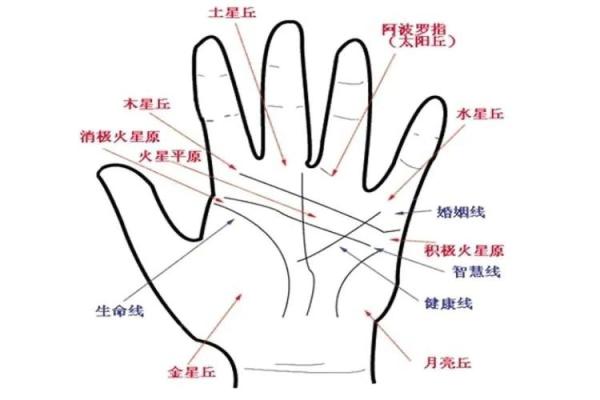 手相解析:掌中秘密揭示个人命运的玄机 手相解析:掌中秘密揭示个人命运的玄机