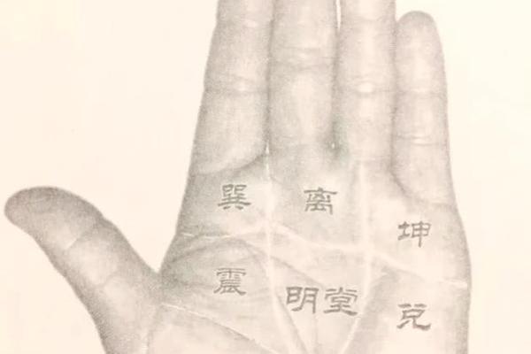 手相解析:掌中秘密揭示个人命运的玄机 手相解析:掌中秘密揭示个人命运的玄机