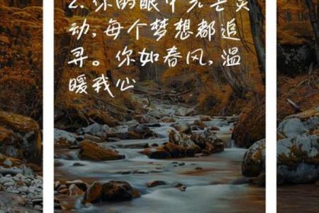 三十一属猴的命运解析：机智灵动与挑战并存的人生