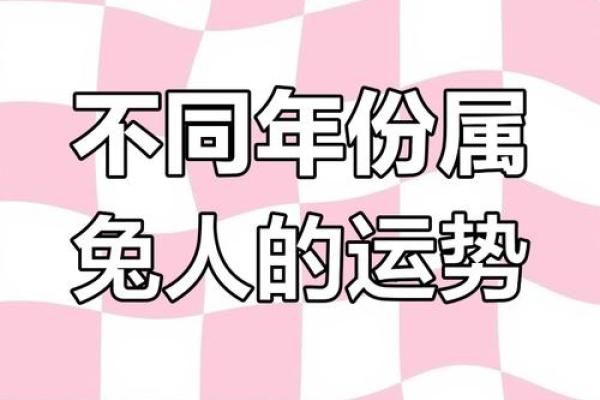 属兔24岁的人生密码：命运与激情交织的旅程