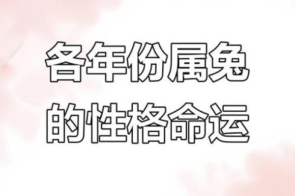 属兔24岁的人生密码：命运与激情交织的旅程