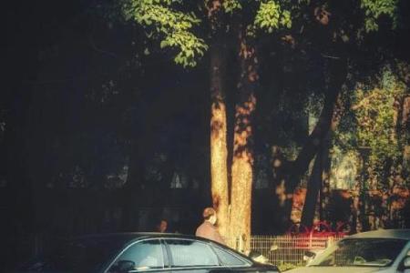 半条命：那些看似微不足道却改变命运的瞬间