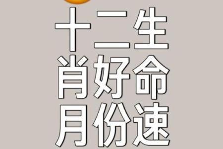 了解十二生肖与月份命理，探寻你的命运之路
