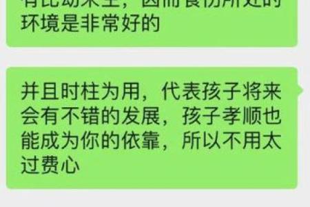 食伤格女命适合的行业与职业发展探讨