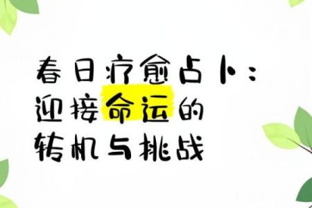 回天无力，命运之中的抉择与转机