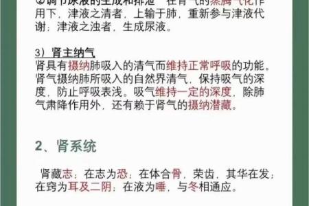 属猴的五行命理揭秘：如何在生活中运用五行智慧提升幸福感