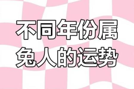 属兔24岁的人生密码：命运与激情交织的旅程