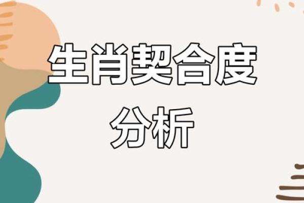 命运与生肖：哪个生肖注定凄凉？探寻命理背后的秘密