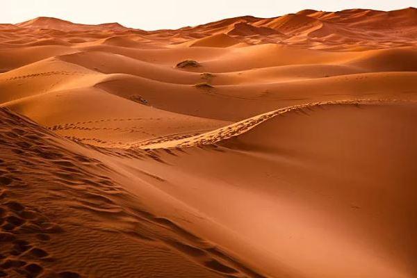 揭密命理:沙中金命如何在生活中展现旺盛运势 揭密命理:沙中金命如何在生活中展现旺盛运势