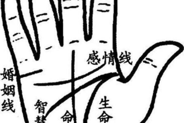 手心细纹多，命运暗藏玄机：解密命运与手相的关系