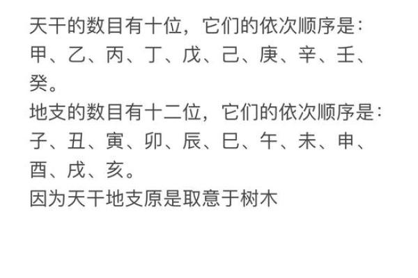 揭开命格的面纱:天干地支对男性命格的奥秘分析 揭开命格的面纱:天干地支对男性命格的奥秘分析