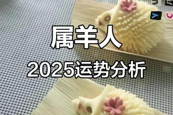 属羊与属兔的命运解析:如何把握人生机遇与挑战 属羊与属兔的命运解析:如何把握人生机遇与挑战