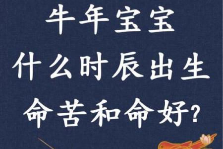 属牛卯时龙出雾的命理解析与人生影响