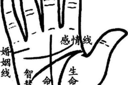 手心细纹多，命运暗藏玄机：解密命运与手相的关系