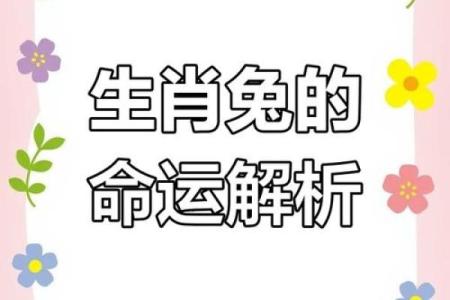 属羊与属兔的命运解析：如何把握人生机遇与挑战