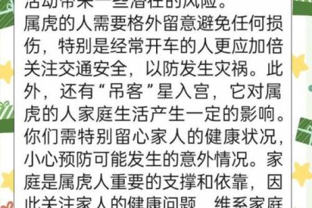 七四年虎的命理揭秘：2023年的运势与人生轨迹