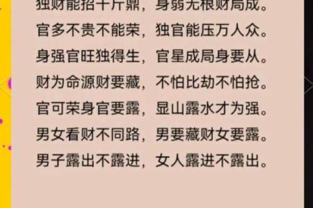 命与财：解读人生与财富的奥秘