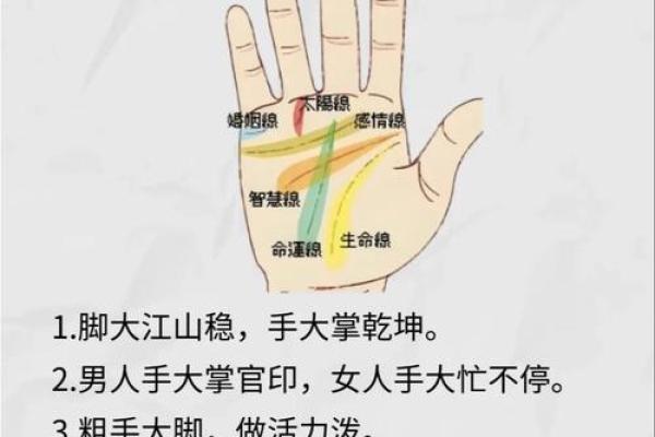 男人手指6个斗的命运解析与人生启示