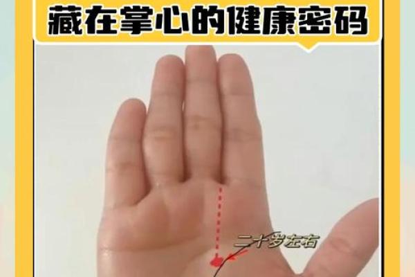 解密女人右手的三条螺纹：命运的指引与人生的启示