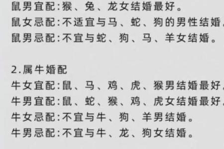 属羊女心路历程：命运的纠葛与自我救赎之路