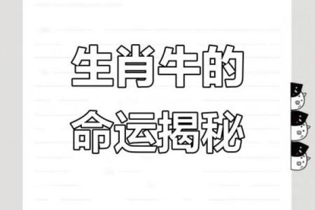属牛虎年生宝宝命运解析：了解命理，助力成长之路