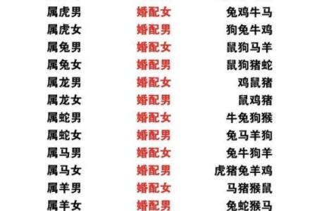 女旁土命的最佳配命解析：如何选择最合适的伴侣