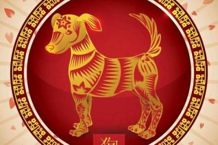 属狗虎年命运解析：如何发挥潜力，驾驭人生风浪