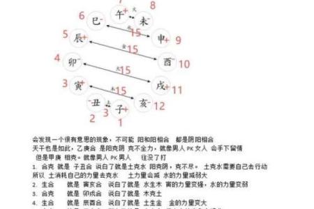 揭示命理之秘：如何判断你的五行属性