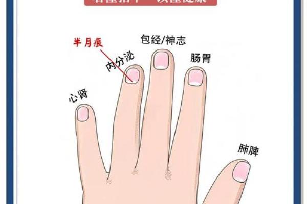 手指月牙白色的秘密:命运与个性的独特关联 手指月牙白色的秘密:命运与个性的独特关联