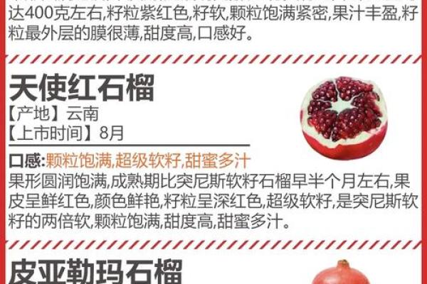 石榴木命的多重称呼与其独特魅力探秘 石榴木命的多重称呼与其独特魅力探秘