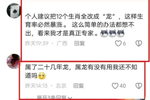 2012年属龙的人命理解析：揭开龙年命运的神秘面纱