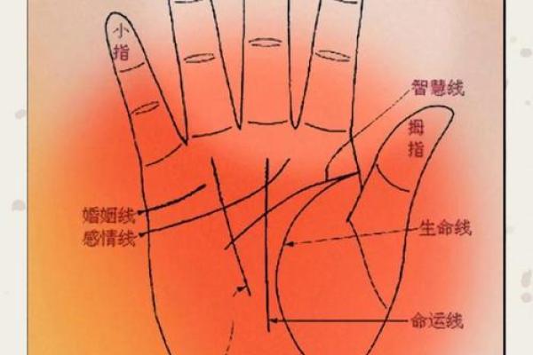 揭示手相之谜：如何通过手相看出你的明星命运！