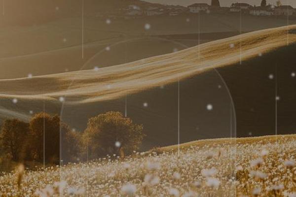 命中注定：人生的奇妙糅合与不可思议的际遇