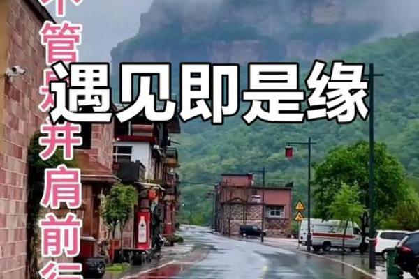 命中注定：人生的奇妙糅合与不可思议的际遇